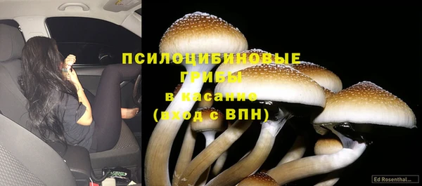 синтетический гашиш Коряжма