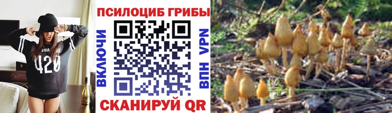 даркнет сайт  Томск  Псилоцибиновые грибы Magic Shrooms 